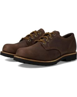 L.L.Bean Bucksport Plain Toe Shoe | Oxfords 15 L.L.Bean Bucksport Plain Toe Shoe | Oxfords -Family Wear Shop 61 CvYtfP0L. AC SR736920